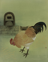 Fung Hoi Shan | Rooster