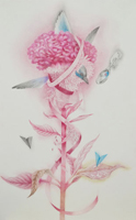 Yumi Masuda | A Flower 1